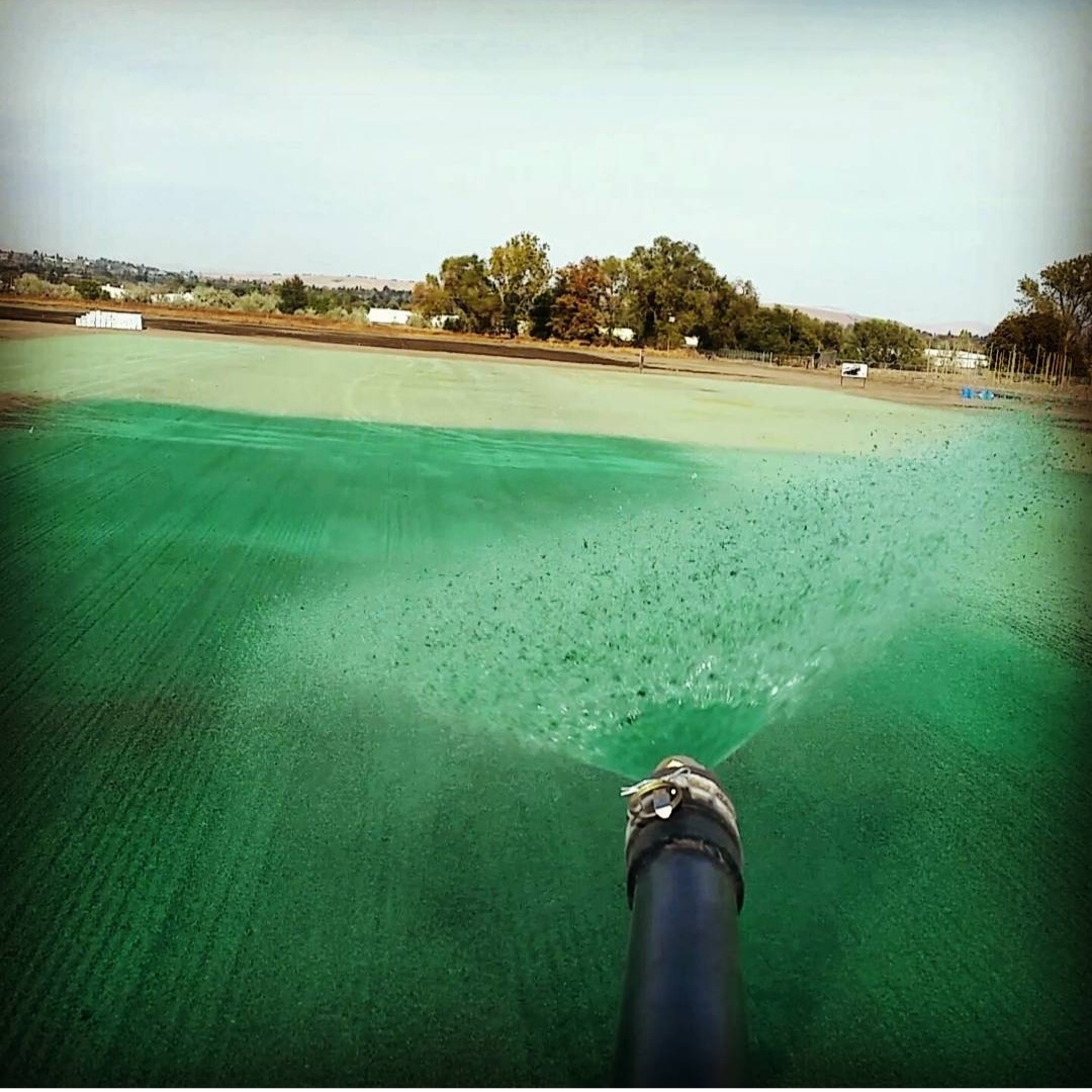 Hydroseeding Sunnyside WA