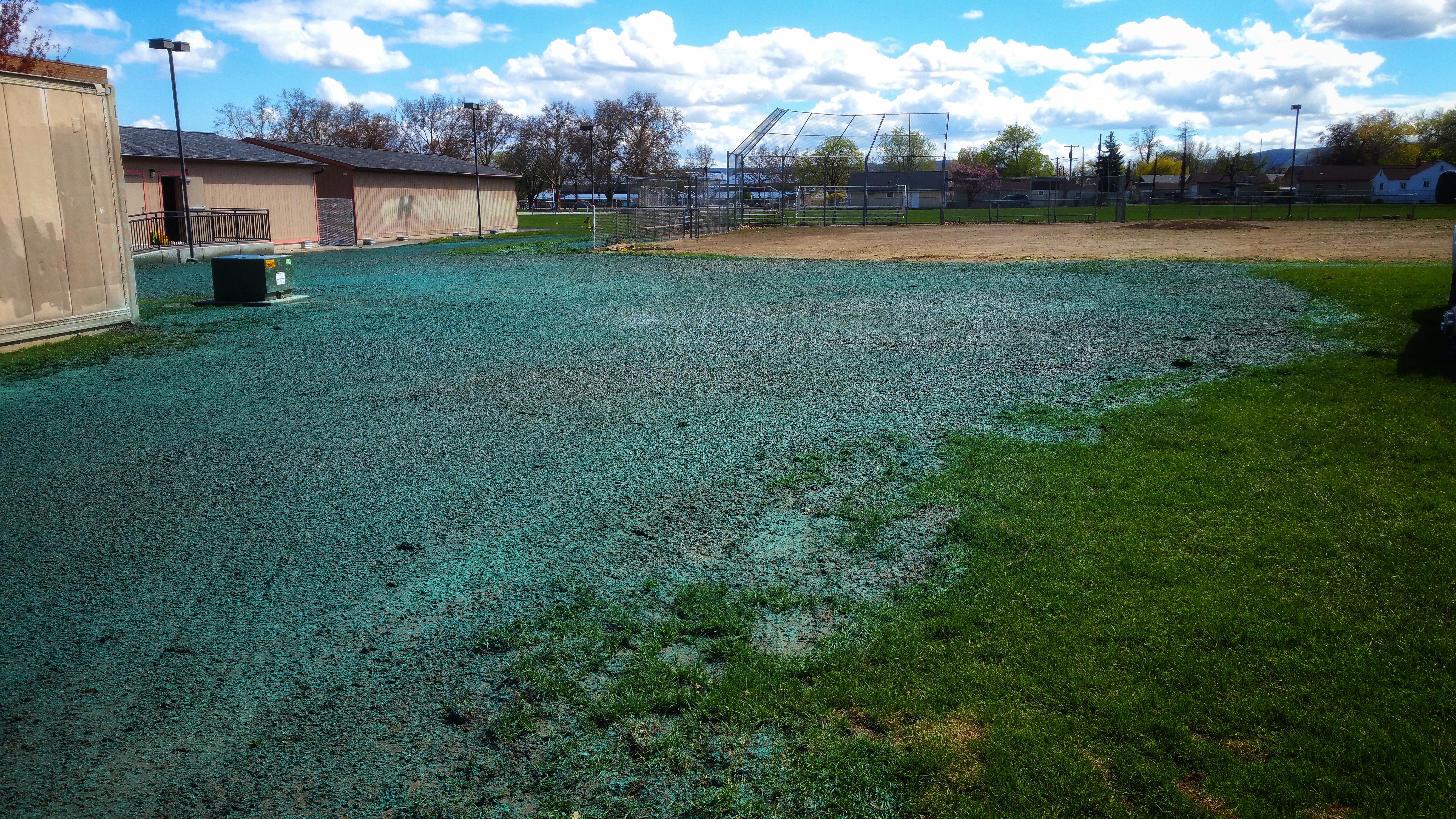 Hydroseeding Carnation WA